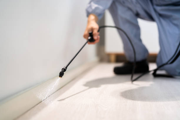 Licensed Termite Control service in Bertram, TX - Nex Pest Control