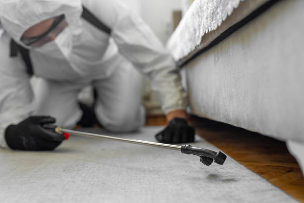 Professional Termite Control technician working in Bertram, TX