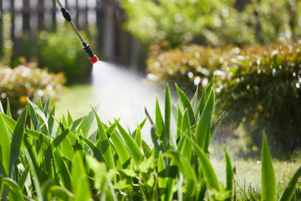 24/7 Emergency Termite Control experts in Bertram, TX